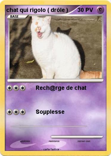 Pokemon chat qui rigolo ( drôle )