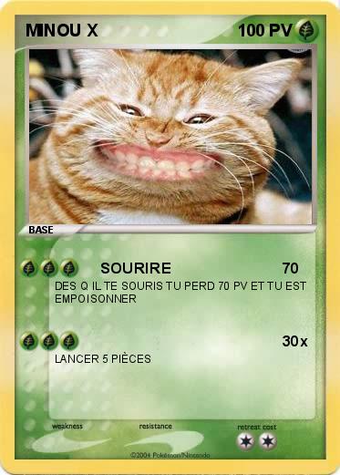 Pokemon MINOU X                   