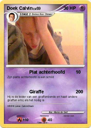 Pokemon Doek Calvin