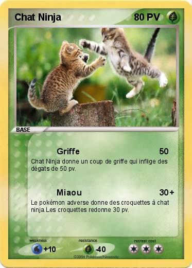 Pokemon Chat Ninja