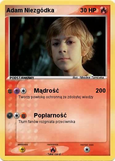 Pokemon Adam Niezgódka