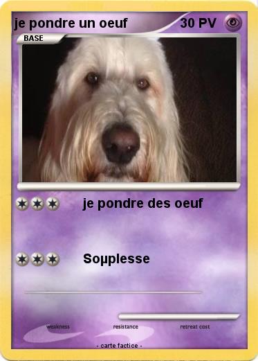 Pokemon je pondre un oeuf