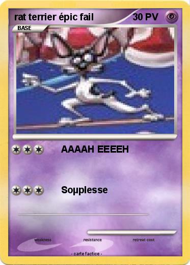 Pokemon rat terrier épic fail