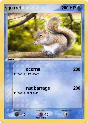 Pokemon squirrel
