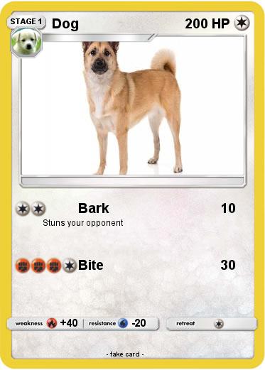 Pokemon Dog