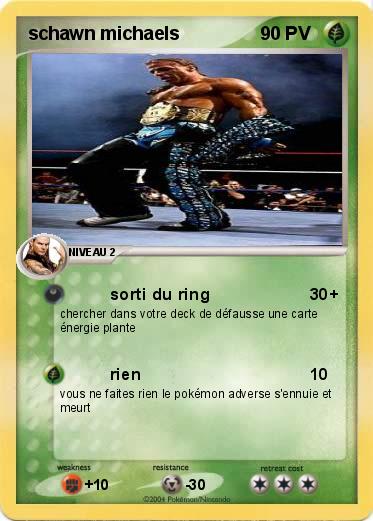Pokemon schawn michaels