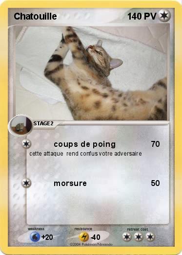 Pokemon Chatouille