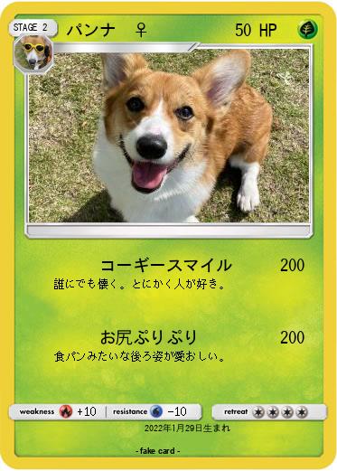 Pokemon パンナ　♀