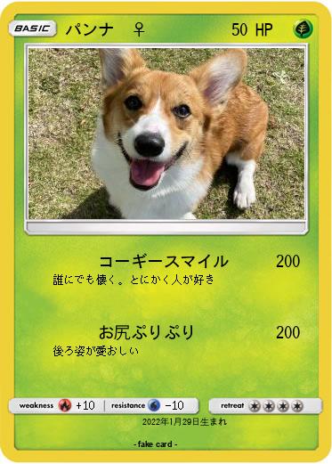 Pokemon パンナ　♀
