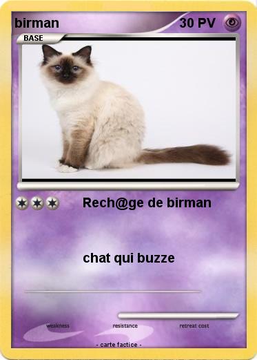 Pokemon birman