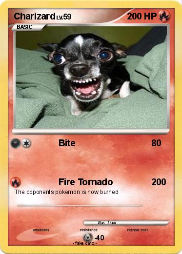 Pokemon Charizard