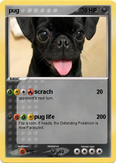 Pokemon pug