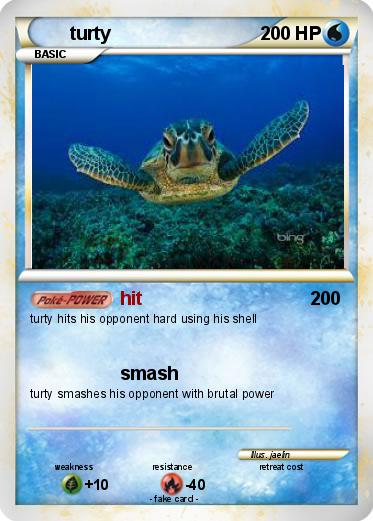 Pokemon turty