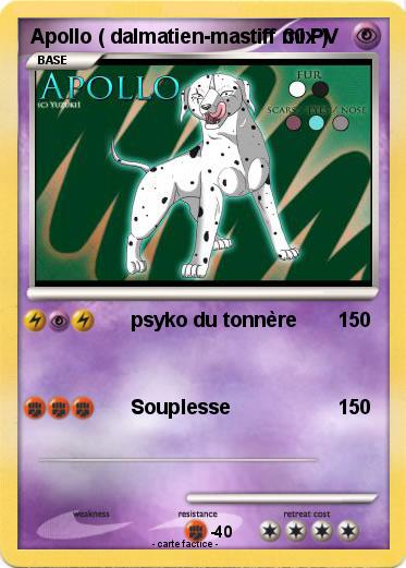 Pokemon Apollo ( dalmatien-mastiff mix )