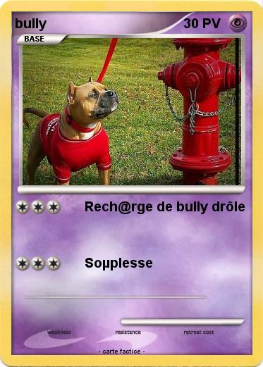Pokemon bully