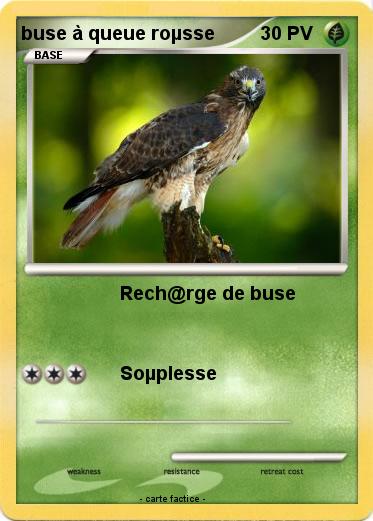 Pokemon buse à queue roµsse