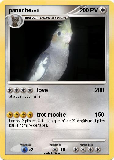 Pokemon panache
