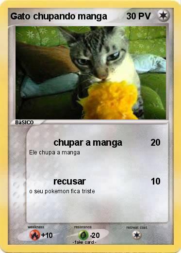 Pokemon Gato chupando manga