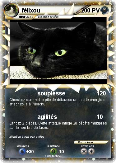 Pokemon félixou