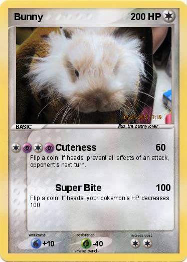 Pokemon Bunny