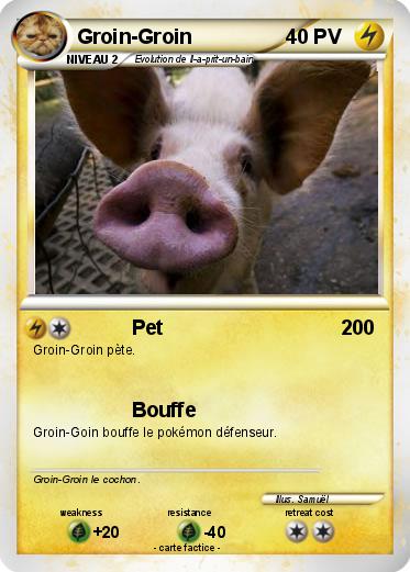 Pokemon Groin-Groin