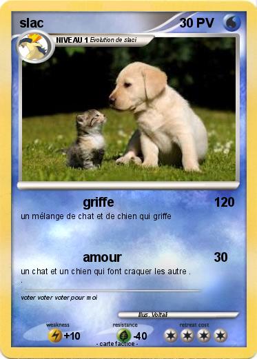 Pokemon slac