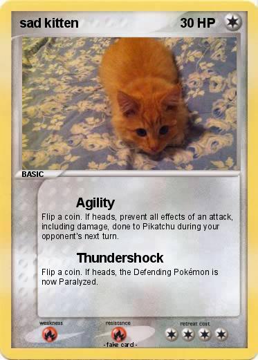 Pokemon sad kitten