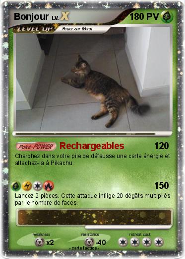 Pokemon Bonjour