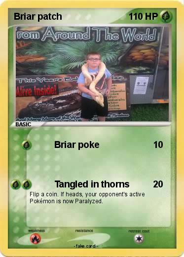 Pokemon Briar patch