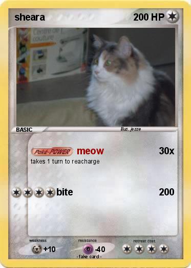 Pokemon sheara