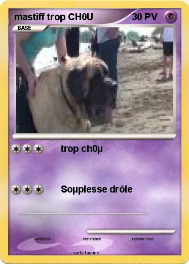 Pokemon mastiff trop CH0U