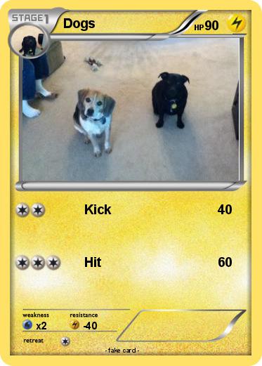 Pokemon Dogs
