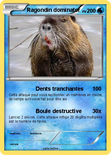 Pokemon Ragondin dominator