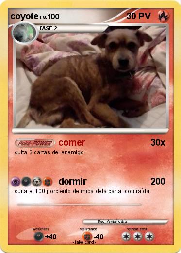 Pokemon coyote