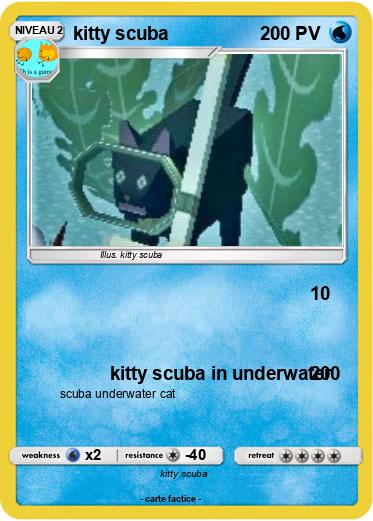 Pokemon kitty scuba