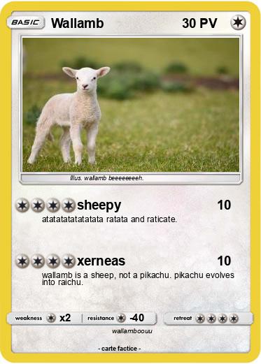 Pokemon Wallamb