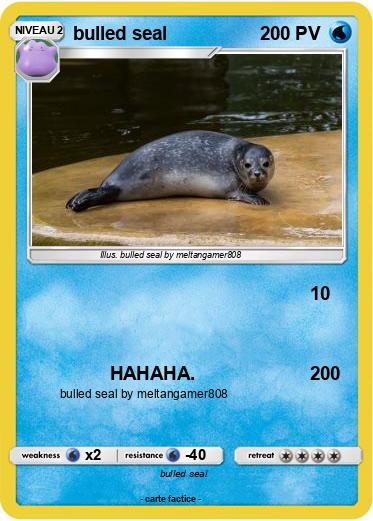 Pokemon bulled seal