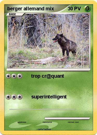 Pokemon berger allemand mix