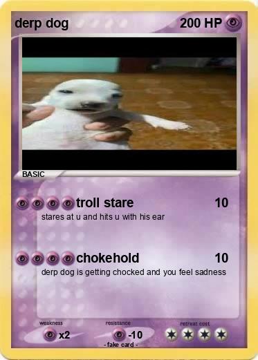 Pokemon derp dog