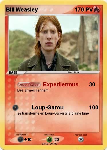Pokemon Bill Weasley