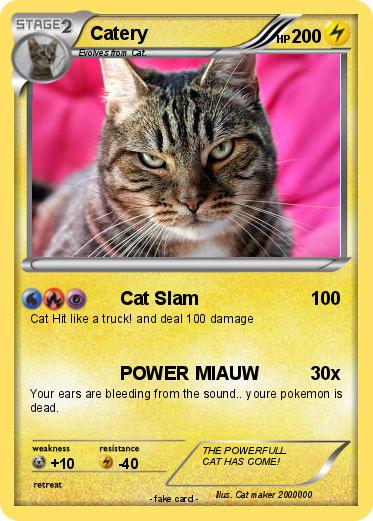 Pokemon Catery