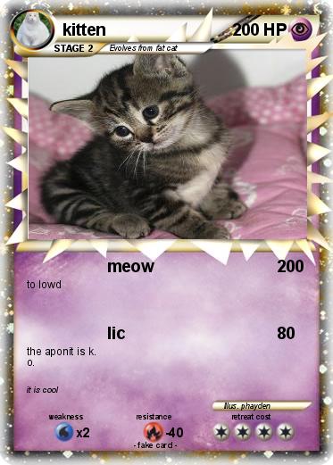 Pokemon kitten