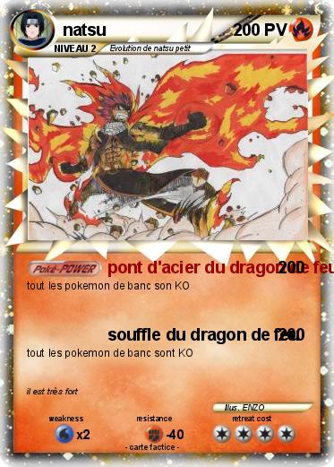 Pokemon natsu
