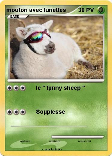 Pokemon mouton avec lunettes