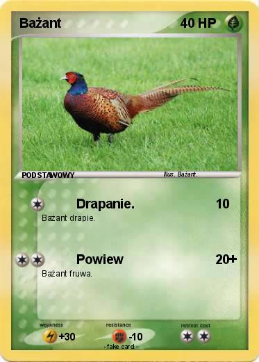 Pokemon Bażant