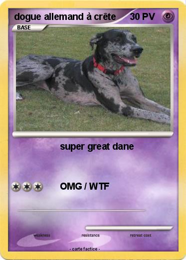 Pokemon dogue allemand à crête