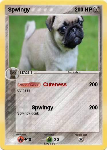 Pokemon Spwingy