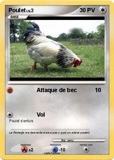 Pokemon Poulet