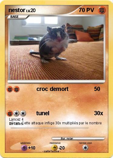 Pokemon nestor