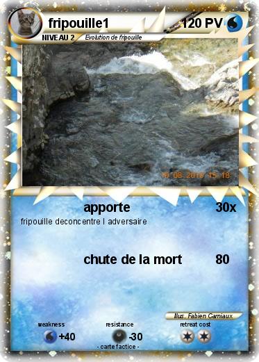 Pokemon fripouille1